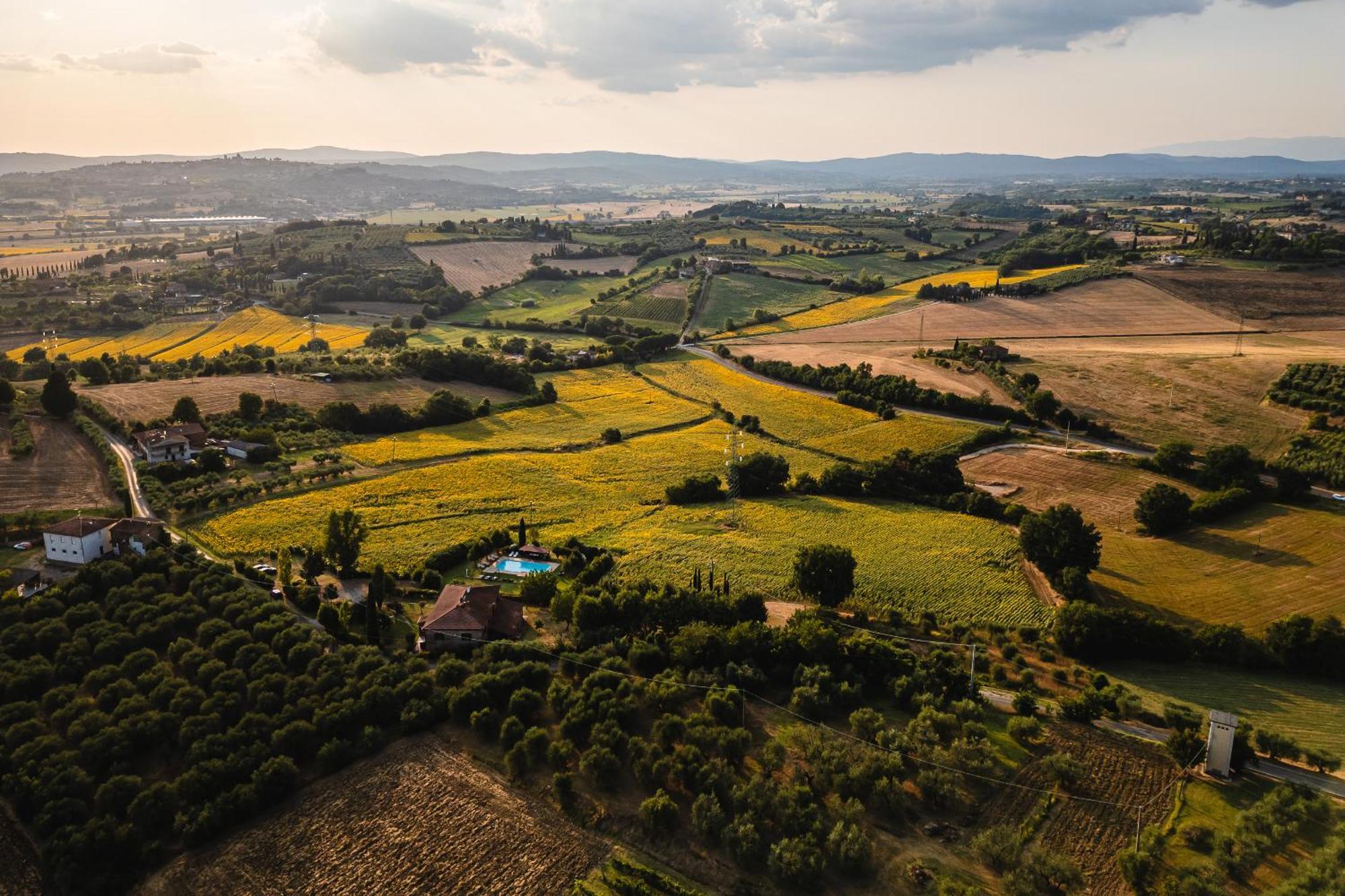 Villa Le Belle Giornate Foiano Della Chiana Bagian luar foto